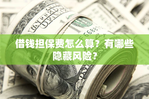 武汉借钱担保费怎么算？有哪些隐藏风险？