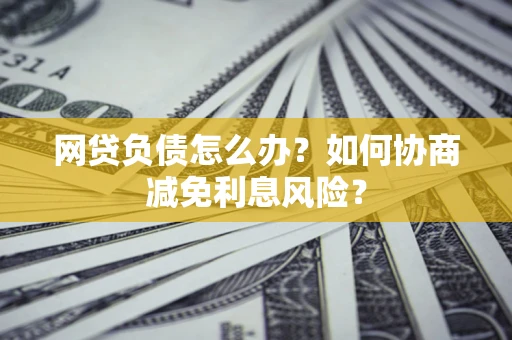 武汉网贷负债怎么办？如何协商减免利息风险？