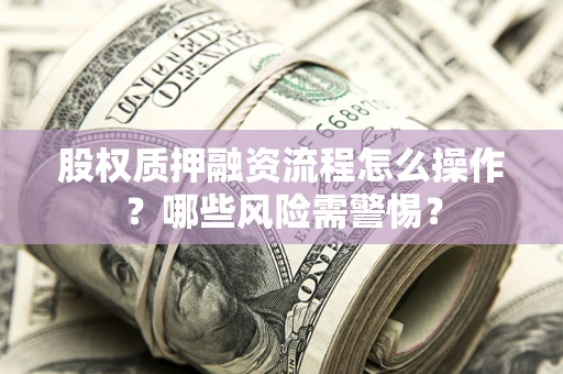 武汉股权质押融资流程怎么操作？哪些风险需警惕？