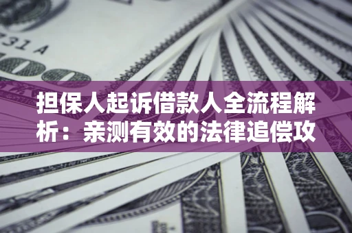 武汉担保人起诉借款人全流程解析：亲测有效的法律追偿攻略