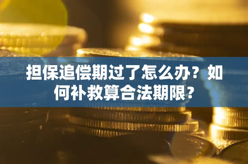 武汉担保追偿期过了怎么办？如何补救算合法期限？