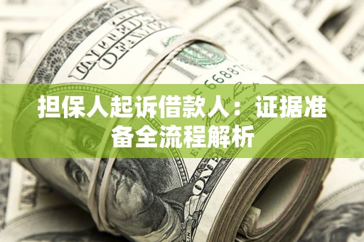 武汉担保人起诉借款人：证据准备全流程解析
