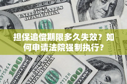 武汉担保追偿期限多久失效？如何申请法院强制执行？