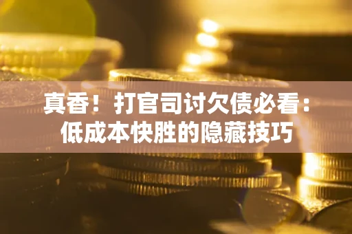 武汉真香！打官司讨欠债必看：低成本快胜的隐藏技巧